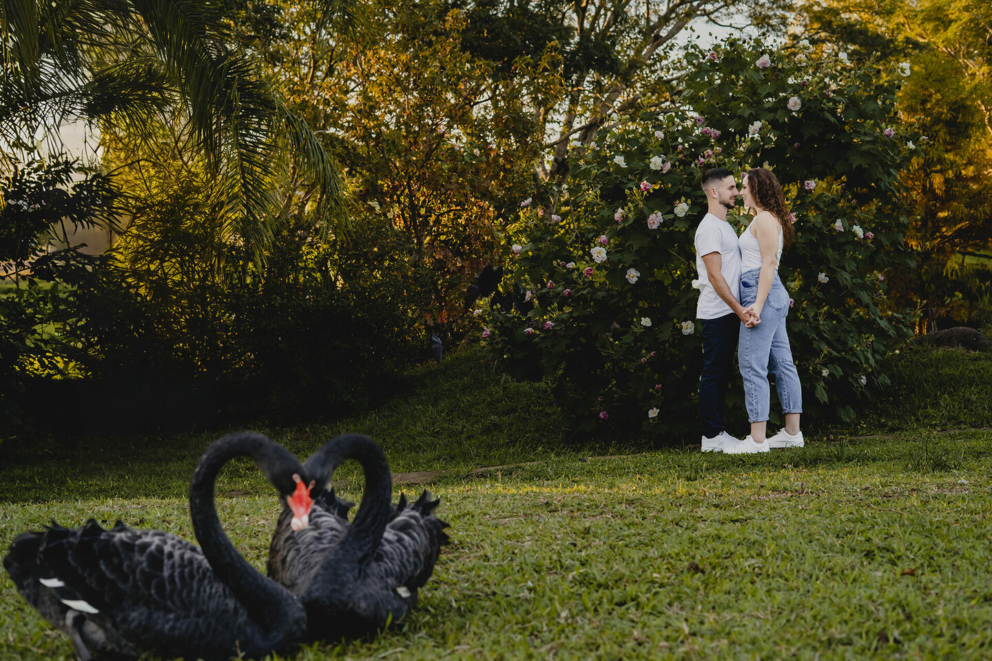 Pré-Casamento no Refúgio Heimatland em Arroio do Meio | Katieli & Paulo