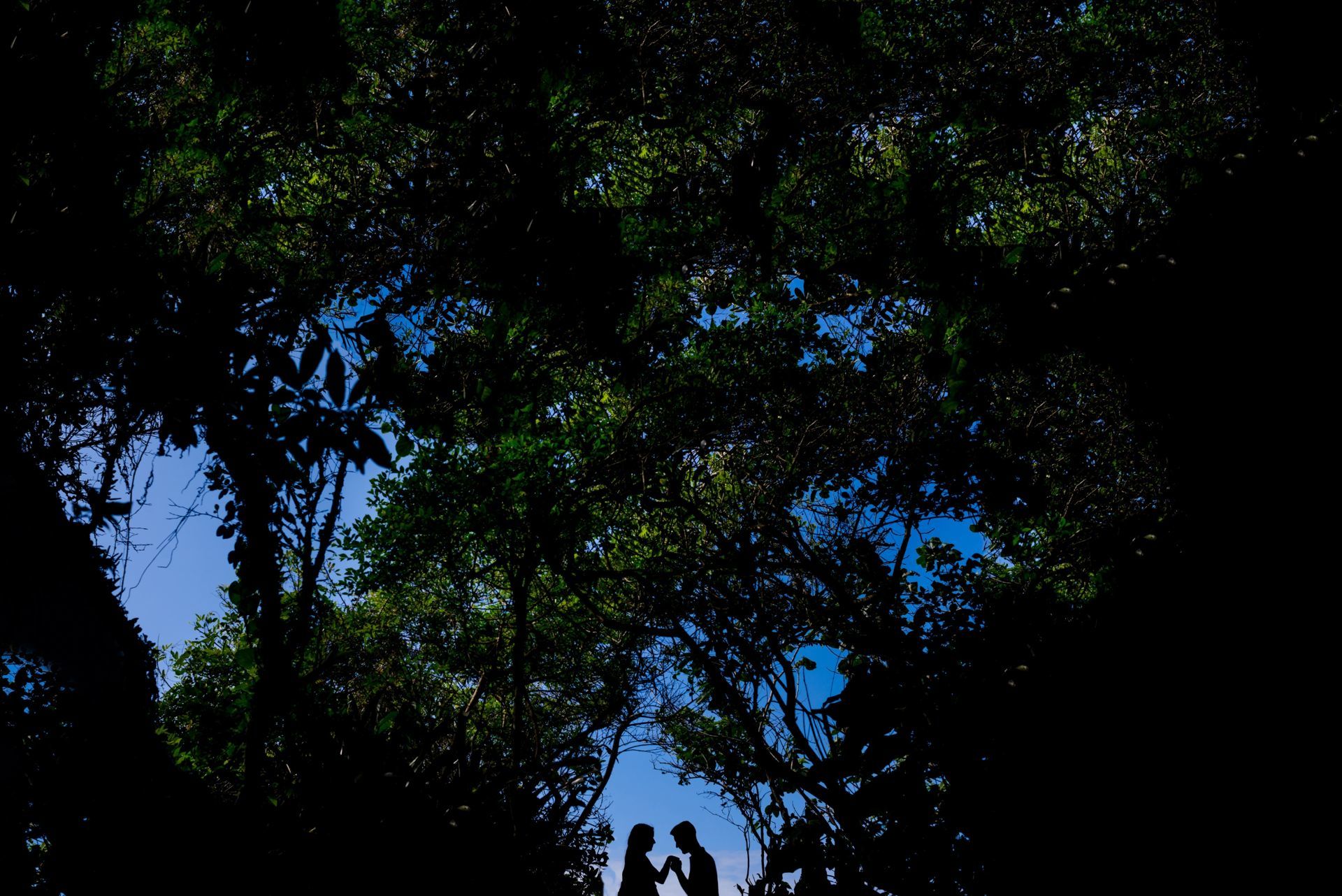 Foto 5 fotos de silhueta para você se inspirar! Foto 5 fotos de silhueta para você se inspirar! - Imagem 0